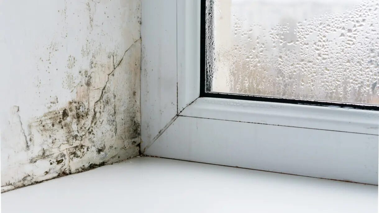 Condensation and mould around a window