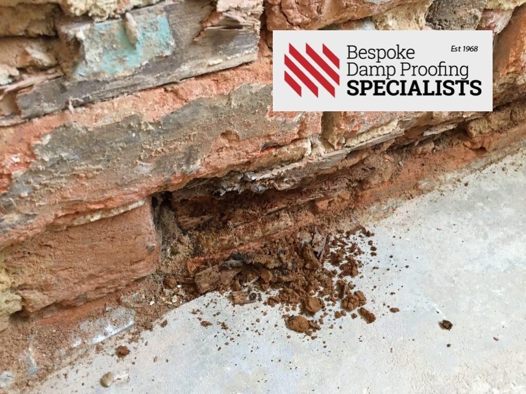 Damp proof course injection